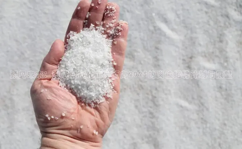 贝博app体育下载安装