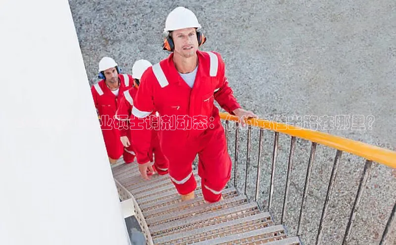 贝博官网下载app